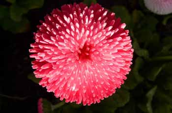 安全防护的骚扰短信呼叫软件